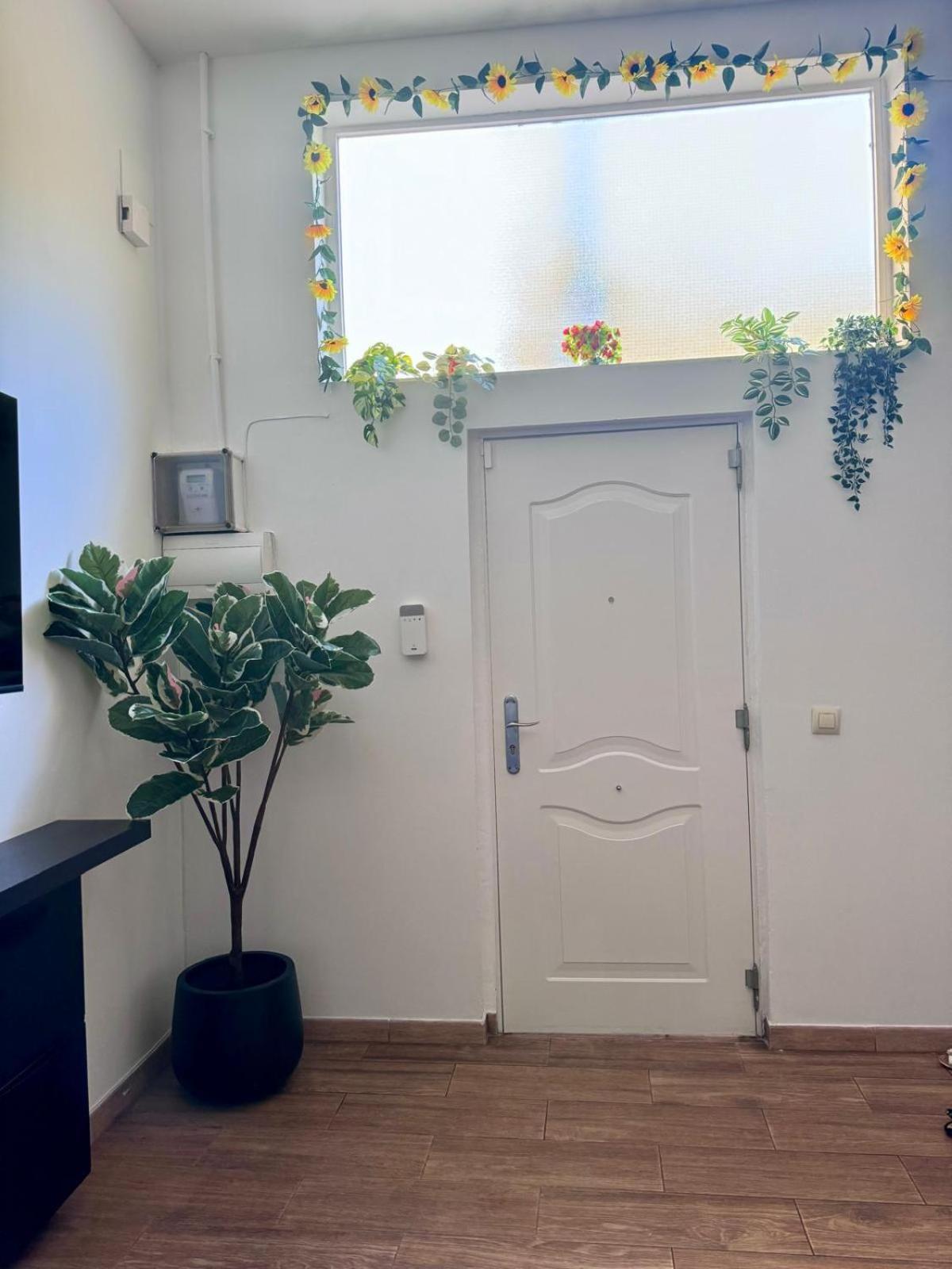 Pamis Apartament Sants, Barcelona Buitenkant foto